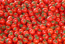 安全无风险的电话测压下载