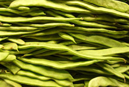 骚扰神器24小时轰炸免费