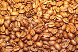 手机号码轰炸app免费